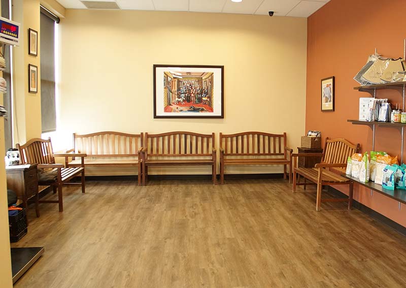 To High Plains Veterinary Hospital